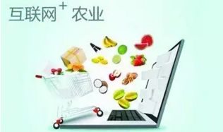 農村電商十大發展趨勢 擁抱變革，賦能鄉村經濟